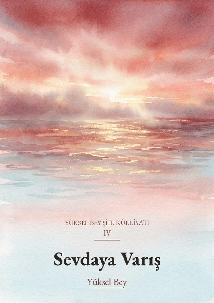 Sevdaya Varış kitap kapağı